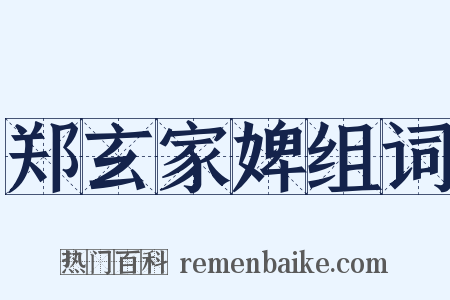 郑玄家婢组词是什么意思的图片